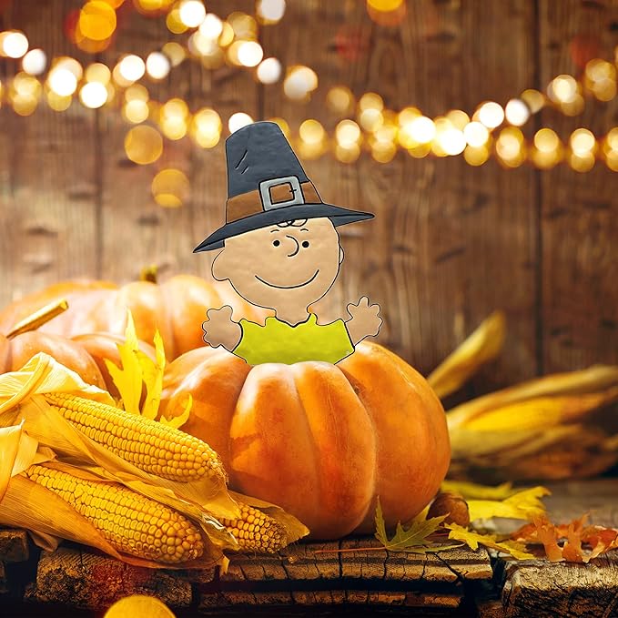 PRODUCTWORKS Peanuts Pumkin Press-in Icon Metal Stake Halloween Harvest Decor Porch Decorating Indoor Outdoor (Thanksgiving Charlie Brown)