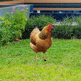 Hen Statue Garden Stake Animal Sculpture Lifelike Lawn Sign Metal Realistic Yard Art Chicken Figurine Ground Insert for Floor, 31.5x17.4x0.1cm