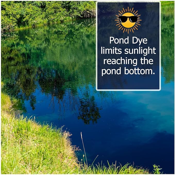 Natural Waterscapes Pond Dye - Reflective Black Super Concentrate - 1 Quart Treats 1 Acre up to 6 Feet Deep, Black Pond Dye Creates a Dark Mirrored Reflection of Surroundings (1)