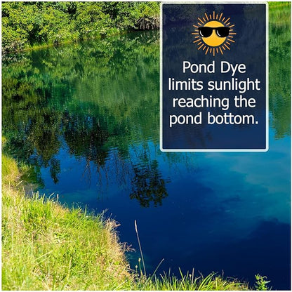 Natural Waterscapes Pond Dye - Reflective Black Super Concentrate - 1 Quart Treats 1 Acre up to 6 Feet Deep, Black Pond Dye Creates a Dark Mirrored Reflection of Surroundings (6)