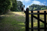 Farm Peeping Donkey Metal Art Garden Sculpture, Peeping Animals Metal Art for Garden Fence Decoration Outdoor Decoration for Farmhouse, Yard, Lawn (3)