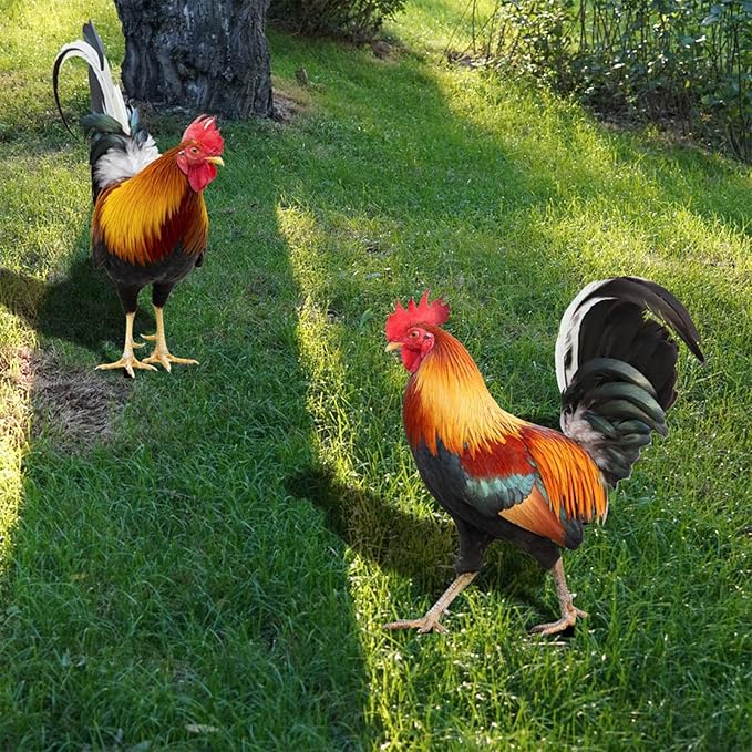 2 Pack Metal Rooster Yard Decor, Realistic Garden Stakes Chicken Yard Art Rooster Signs for Outside, Roosters Decorations for Garden Backyard Patio Lawn
