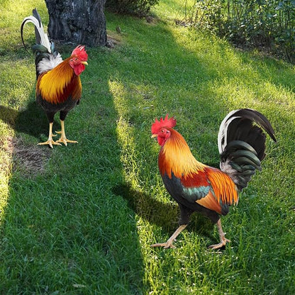 2 Pack Metal Rooster Yard Decor, Realistic Garden Stakes Chicken Yard Art Rooster Signs for Outside, Roosters Decorations for Garden Backyard Patio Lawn