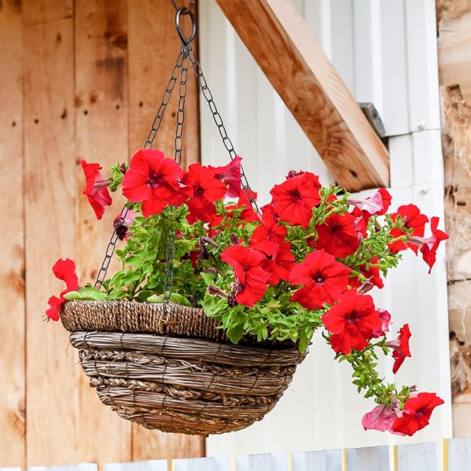Black Hanging Plant Chains Kit, 36-Inch Adjustable Plant Hangers with Hooks and Clips for Hanging Baskets, Bird Feeders, Wind Chimes, Planters and Porch Signs -6PACK