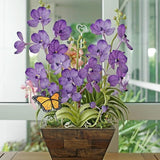 Geelin 1 Pc Stained Glass Flying Butterfly Suncatcher Flower Pot Decoration Metal Plant Pot Hangers Colorful Garden Yard Suncatcher Decor for Spring Home Indoor Outdoor Decor(Orange, Chic)