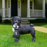 Black Pug Garden Statue with Solar Lantern and Interchangeable Signs (Welcome & On Patrol), Resin Dog Sculpture Outdoor Decor for Patio Yard Lawn Porch, Pug Lover Gifts, 12.2"
