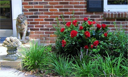 USA Classic Bottletree Bush Bottle Tree Southern Wine - MINI Classic Holds 16 Bottles. Heavy Duty Solid Steel and Made in USA.