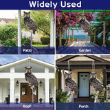 4PCS Fake Owl to Keep Pigeon Away from Balcony Hanging Flat Garden Owls with Reflective Tape Plastic Owl to Scare Squirrel for Outdoor Garden House Window Patio Yard Front Porch Backyard