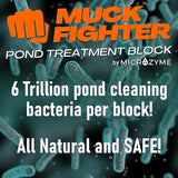 Muck Fighter Pond Treatment Block | Lasts 30 days | Natural Pond Bacteria & Sludge Decomposing Enzymes | Water Clearing Odor Eliminating Microbes | Safe for Fish, Pets, & Recreation (1-Pack)