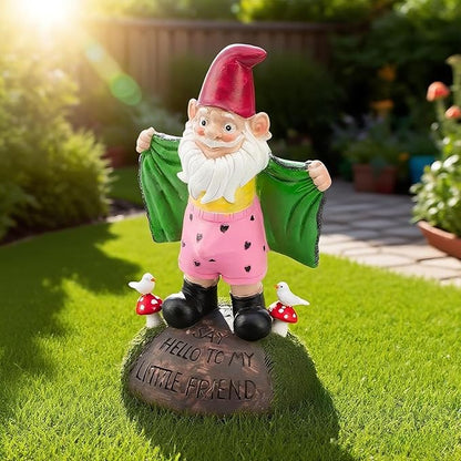Teaeeno Funny Garden Gnome Statue - Say Hello to My Little Friends Sign, Weather Resistant Outdoor Decor, Patio & Yard Art, Unique Gift for Gardeners & Gnome Enthusiasts