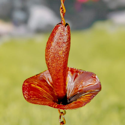 Zaer Ltd. Ornate Hanging Rain Chains (Rust Finish, Mushrooms)