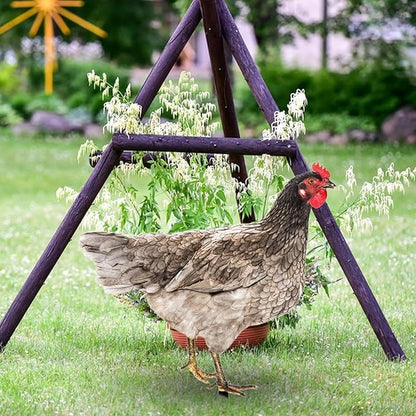 Rooster Yard Stake Hen Lawn Ornament Gift Chicken Garden Statue Figurine for Hallway Farmhouse Entryway Birthday Thanksgiving, Style B