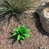 Mini Metal Agave (Green)
