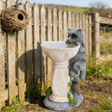 HUYIENO Solar Garden Statue Outdoor Decor Ornament Waterproof Solar Powered LED Lights for Yard, Patio, Lawn Gift for Mom, Women, Housewarming Raccoon