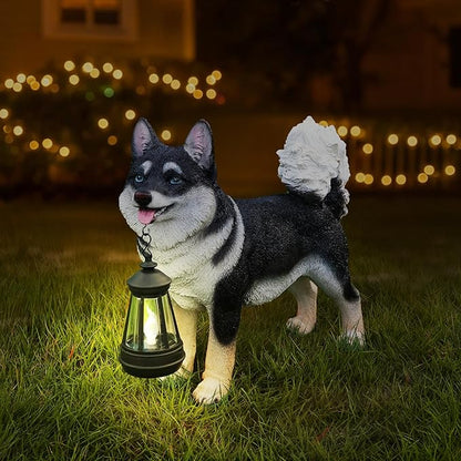 Solar Akita Garden Statue with Lantern & Double-Sided Sign - Outdoor Dog Decor for Yard, Patio, Porch - Resilient Resin Puppy Sculpture, Auto On/Off Solar Path Lights - Dog Memorial Gift