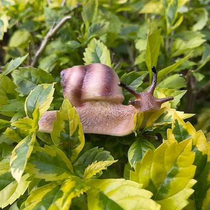 Snail Figurine Toy Mini Animal Figures for Fairy Garden, Mushrooms, Micro Landscape Decor (Light Color)