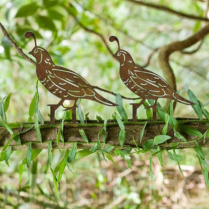 5 Pack Rusty Quail Family Decorative Garden Stakes Metal Birds Statues for Yard Decor Lawn Ornaments