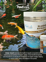 PondScape Sludge Assault Pond Cleaner – Pond Muck & Sludge Remover, Improves Water Clarity, Reduces Odors & Nitrates, Suitable for Koi, Fish & Aquatic Life – Treats 12,000 Gallons – 12 x 1oz Blocks
