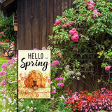 Hello Spring Golden Retriever Dog Garden Flag,Smiling Golden Retriever Spring Garden Flag for Outside Porch Lawn Yard Flags for Outdoor Decorations 12x18 Inch Double Sided