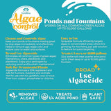 Algaecide for Fountains – Clarify and Controls Algae for Large and Small Fountain - 32 oz (Quart)