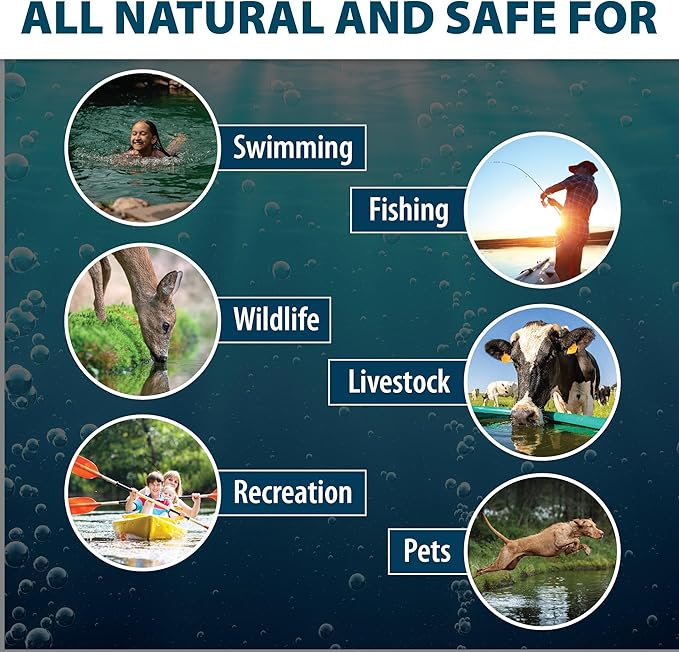 Airmax Black DyeMond Pond Dye 4X Concentrate for Outdoor Ponds & Lakes, Natural Pond Color& Beauty Enhancer, Swimming Safe Water Colorant, Easy Liquid Application, 1 Quart