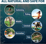 Airmax Nature's Blue Pond Dye 4X Concentrate for Outdoor Ponds & Lakes, Natural Pond Color & Beauty Enhancer, Swimming Safe Water Colorant, Easy Liquid Application, 1 Quart