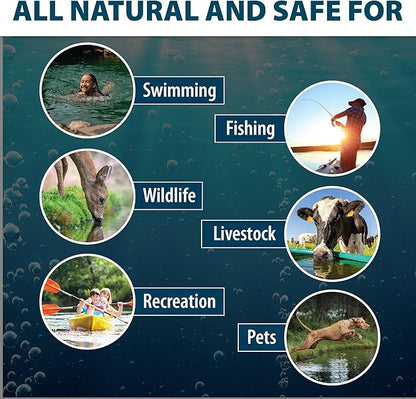 Airmax Nature's Blue Pond Dye 4X Concentrate for Outdoor Ponds & Lakes, Natural Pond Color & Beauty Enhancer, Swimming Safe Water Colorant, Easy Liquid Application, 1 Quart