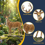 XTAPAN Resin 19.68Inch Height Standing Deer Statue Animals Sculpture Garden Art Decor Yard Ornament Lawn Garden Outdoor Patio Decoration Figurine