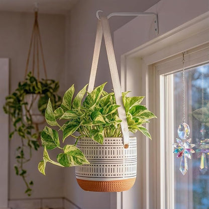 Plant Hanger Bracket, Heavy Duty Wall Hooks, 6-Pack 7.5 Inch White Hanging Hooks, Forged Wrought Iron Powder-Coated Brackets for Outdoor Indoor Plant, Bird Feeder, Flower Pot