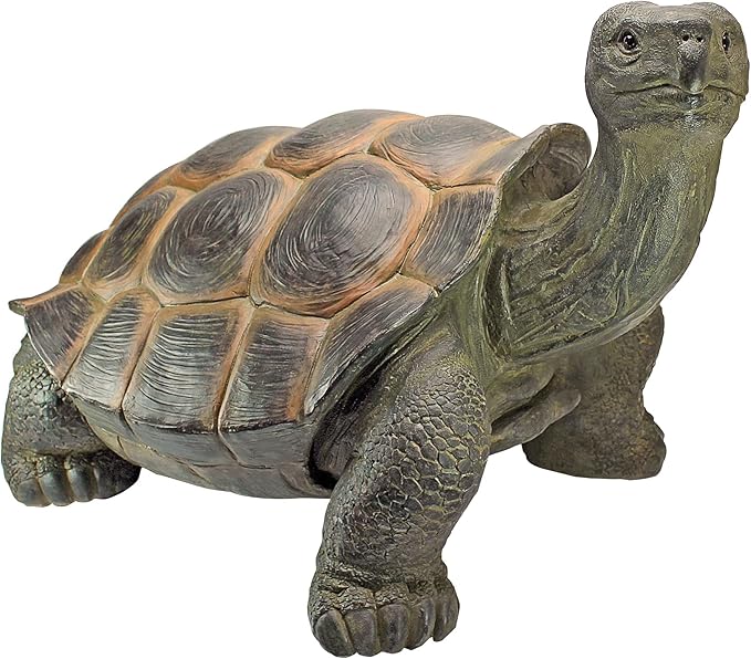 Design Toscano The Cagey Tortoise Statue