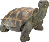 Design Toscano The Cagey Tortoise Statue