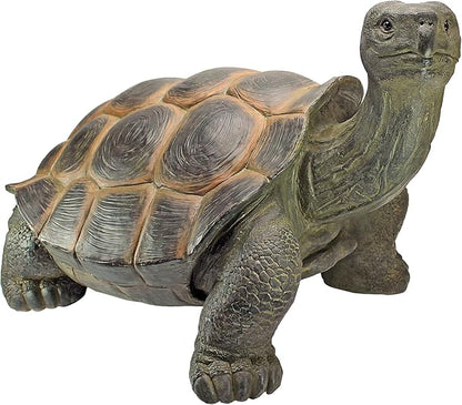 Design Toscano The Cagey Tortoise Statue