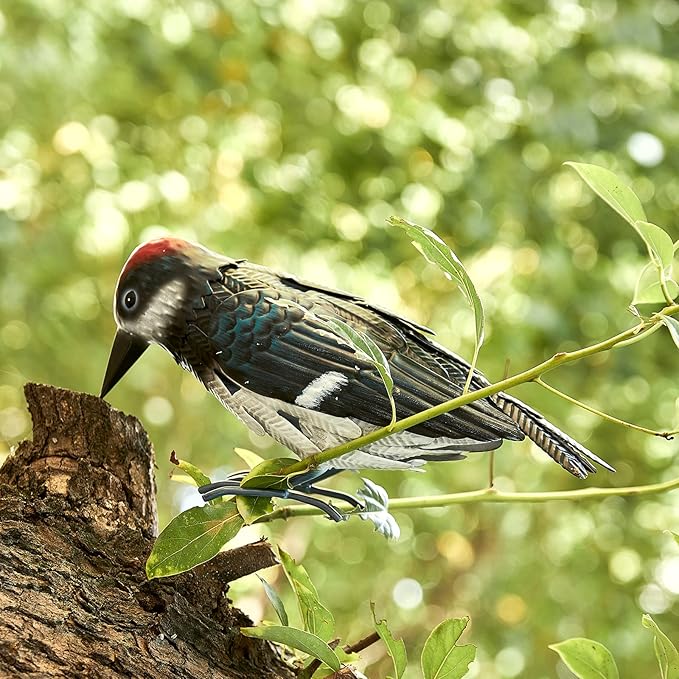 Metal Woodpecker Bird Figurine - Beautiful Backyard & Garden Gift, Birds Statue Sculpture Art Large Realistic - Outdoor Spring, Summer Metal Yard Art for Lawn Ornament Decoration Ornament Decor 7" H