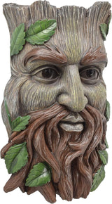 Arcadia Garden Products Large Whimsical Tree Face Planter, 7.5"x11.8", Outdoor Tree Hugger, Man Spirit Sculpture for Garden Art Decor, Birdfeeder, Hangs on Trees, Fences or Walls, Hawthorn