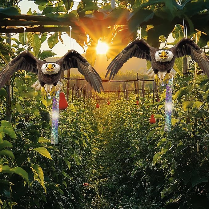 4PCS Hanging Fake Hawk to Keep Pigeon Away from Porch Flat Plastic Hawk to Scare Woodpecker Away from Tree with Reflective Tape Garden Owls to Scare Pigeon Squirrel for Patio Yard Fake Hawks Decor
