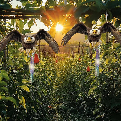 2PCS Hanging Fake Hawk to Keep Pigeon Away from Balcony with Reflective Tape Flat Plastic Hawk to Scare Pigeon Away from Porch Garden Owls to Scare Woodpecker Squirrel for House Fake Hawks Decor