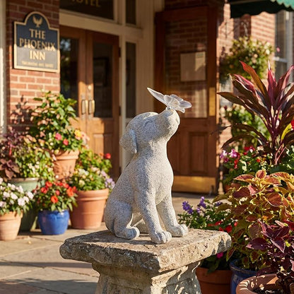 Lyeasw Dog Solar Statues with Butterfly - Waterproof Gray Dog Garden Decor for Patio, Yard, Porch- Cute Puppy Figurines with Solar LED Lights for Outdoor Decor, Pet Memorial Gift