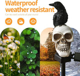 QH & Garden Halloween Outdoor Decoration Solar Lights, Waterproof Ghost Lights, Skull Solar Garden Statue with Black Crow on Skull, Skeleton Stakes with LED, Stunning Halloween Decorations