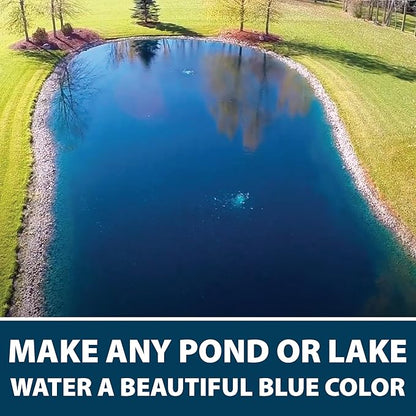Airmax Black DyeMond Pond Dye 4X Concentrate for Outdoor Ponds & Lakes, Natural Pond Color& Beauty Enhancer, Swimming Safe Water Colorant, Easy Liquid Application, 1 Quart