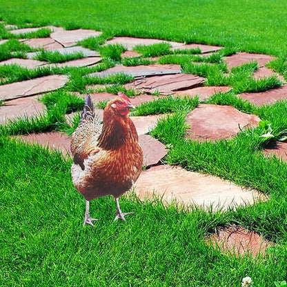 Happyyami 2Pcs Acrylic Chicken Yard Art - Decorative Hen Lawn Stakes for Garden Decoration, Outdoor Decor for Patio and Yard, Acrylic Flat Surface