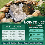 Muck Clear – Natural Pond Sludge Treatment, 4 LB for Ponds, Fountains & Bird Baths, Beneficial Bacteria & Enzymes, Chemical-Free & Safe for Fish, Pets & Wildlife