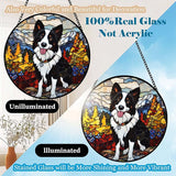 Stained Glass Suncatcher Border Collie in Mountain Meadow Handmade Window Hangings Colored Glass Suncatcher Crafts Kits for Indoor Garden Christmas Home Decor Gift for Pet Lover Memorial 6.3in