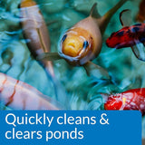 API POND SIMPLY CLEAR Pond Water Clarifier 1-Gallon Bottle