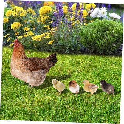 Mikikit 5pcs Acrylic Chicken Stakes Rustic Lawn Decoration for Outdoor Patio Garden Weather Resistant Garden Statues for Backyard and Farm Decor