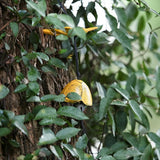 Japanese Wind Chime Cast-Iron Outdoor Ornament for Garden, Patio & Balcony, Hanging Metal Wind-Bell Decoration Gift, Blessing Pendant Windchimes, Yellow Dragonflies