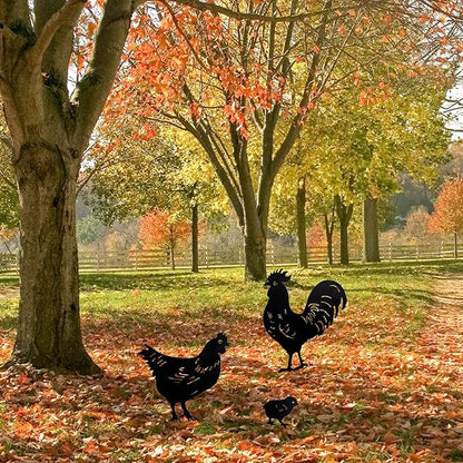 TT & MM Chicken Gifts for Women/Men,Metal Chicken Yard Decor 3 Pcs Rooster Decorations Garden Stakes,Hen/Chicks Silhouette Statues for Yard Art,Backyard,Patio,Lawn,Outdoor Decor