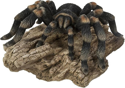 HI-LINE 9.25" Tarantula Spider Outdoor Garden Statue
