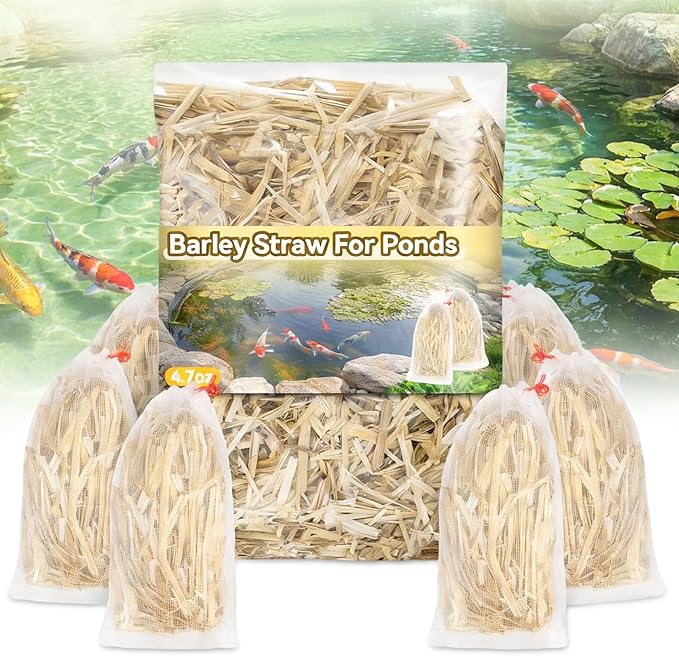 MAQIHAN Barley Straw for Ponds – Pond Media for Outdoor Fish Pond & Koi Pond, Natural Pond Filtration Accessory, Supports Water Balance for Garden Ponds & Water Features, 10 Mesh Filter Bags Included