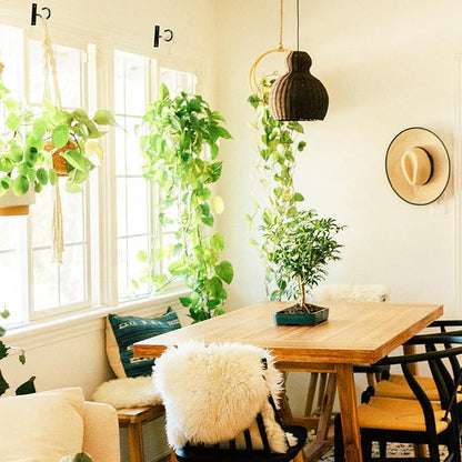 2Pack 2.5Inch Ceiling Hooks for Hanging Plant, Hanger for Indoor and Outdoor Plant Pots Holder, Wall Hook for Planters, Flower Basket, Wind Chimes, Lanterns, Lights, Bird Feeders, Home Decor