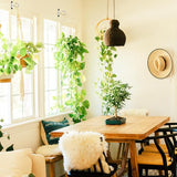 4Pack 2.5Inch Ceiling Hooks for Hanging Plant, Hanger for Indoor and Outdoor Planters Pots Holder, Wall Hook for Plant, Flower Basket, Wind Chimes, Lanterns, Lights, Bird Feeders, Home Decor-White